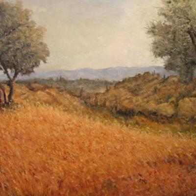 Toscana fra gli ulivi