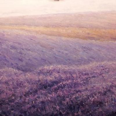 Campi di lavanda all&acute;infinito