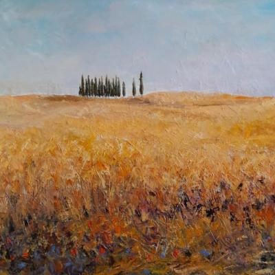 CAMPAGNA  VOLTERRANA